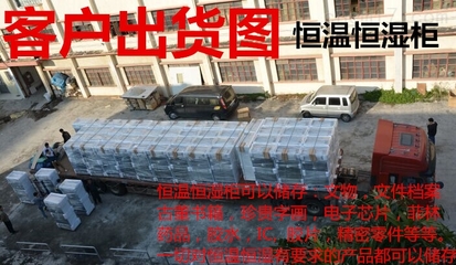 守护文明印记 恒温恒湿储存柜——文物保护的科技基石